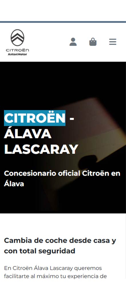 Versión móvil de la web de Alava Lascaray