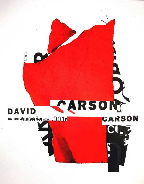 Portada libro David Carson