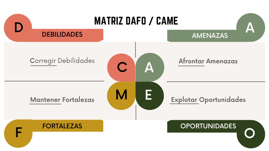 Matriz DAFO-CAME
