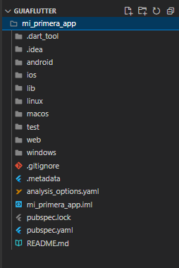 Cómo crear tu primera App con Flutter: Estructura del proyecto
