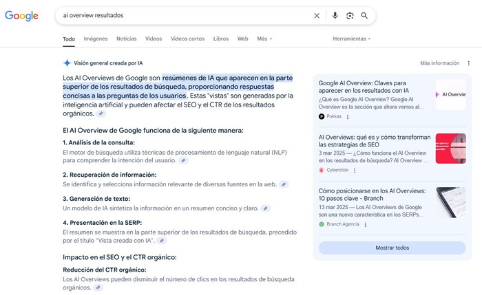 ¿Qué es el AI Overview?