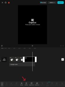 Cómo eliminar la marca de agua de CapCut - Caronte
