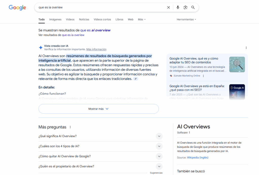AI Overview
