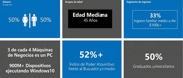 Perfil de usuarios de Bing