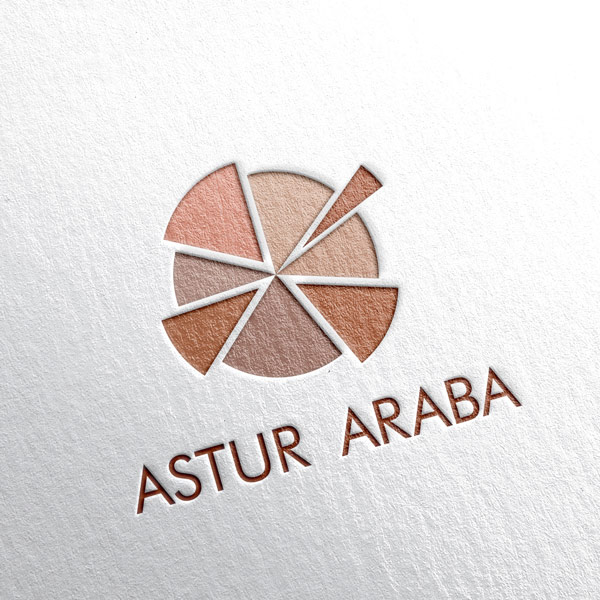 Caronte Web Studio - Astur Araba